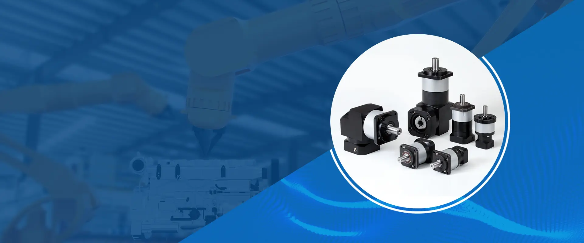 Monarcha giarbhosca pláinéadach